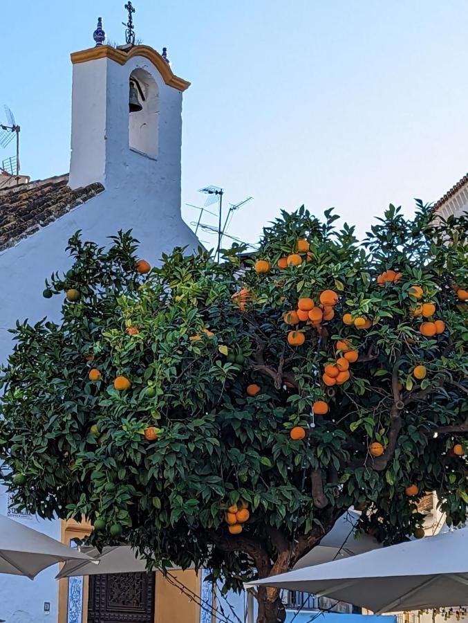Marbella - Playa Alicate 2br holiday apartment Exterior foto